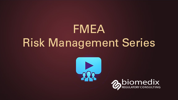 FMEA risk management